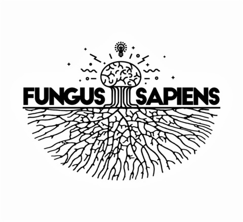 Fungus Sapiens recrute un(e) étudiant(e) en communication